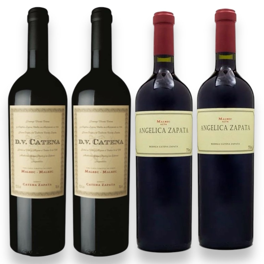 Kit 4 Vinhos Argentinos Malbec